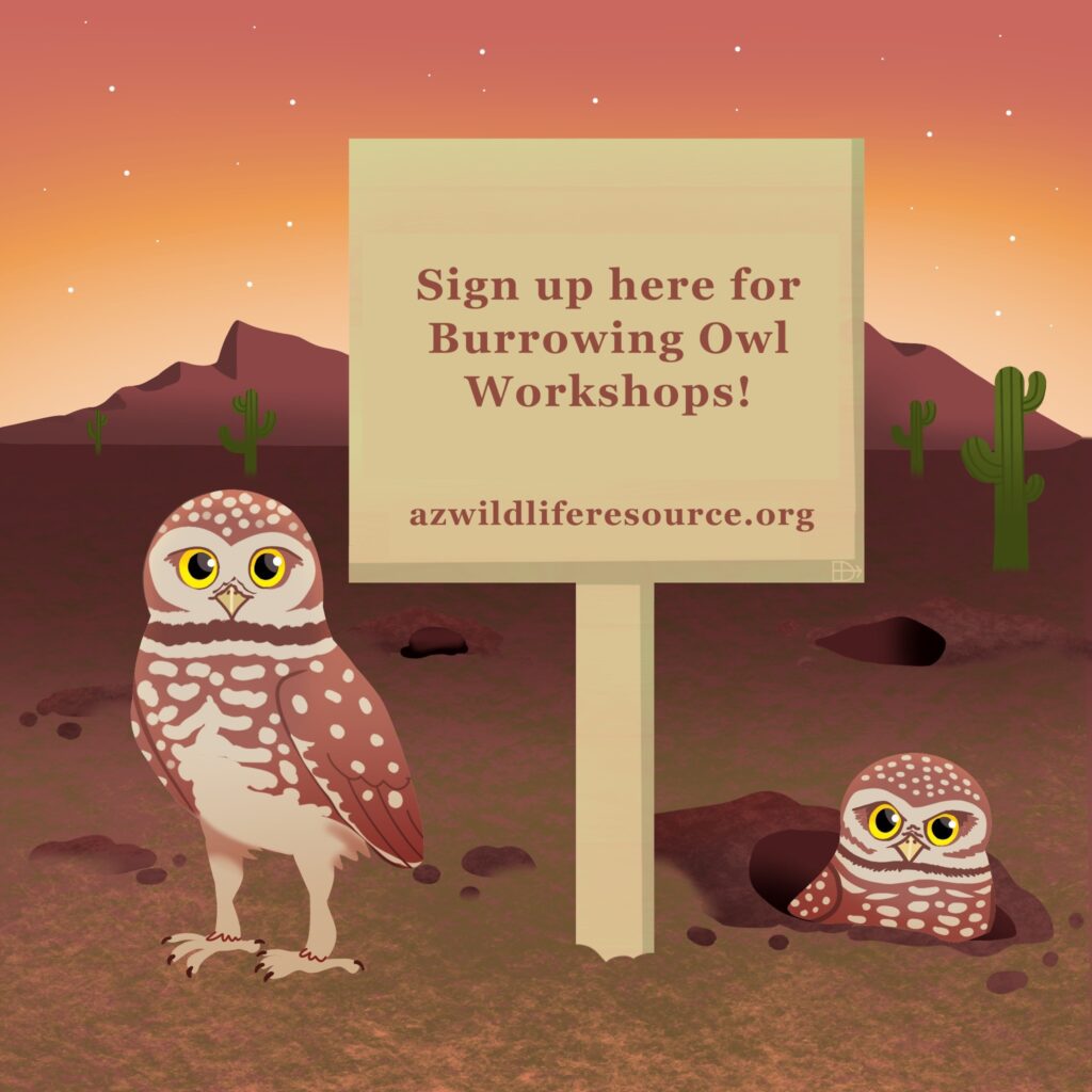 sign with burrowing owls