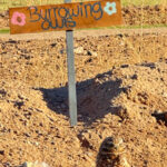 burrowing-owl-sign-ideas (1 of 7)