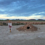 burrowing-owl-sign-ideas (10 of 5)