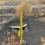 burrowing-owl-sign-ideas (2 of 7)